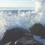 Jalyn Marvin Profile Picture