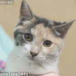 Tanner Parker Profile Picture