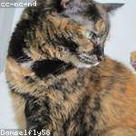 Christophe Weimann Profile Picture