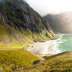 Tom Barrows Profile Picture