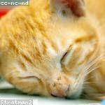 Leonard Koepp Profile Picture