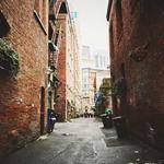 Camryn Schinner Profile Picture