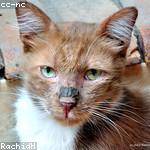 Jordyn Yost Profile Picture