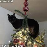 Reyna Maggio Profile Picture