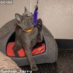 Llewellyn Powlowski Profile Picture