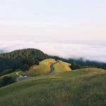 Myrl Emmerich Profile Picture