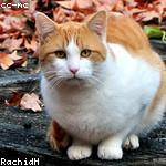 Mireille Ferry Profile Picture