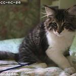 Warren Jacobs Profile Picture