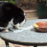 Frank Sanford Profile Picture