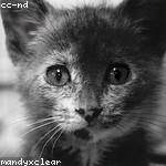 Dora Witting Profile Picture