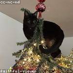 Flossie Cole Profile Picture