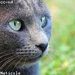 Woodrow Hudson Profile Picture