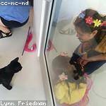 Rollin Koss Profile Picture