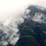 Samanta Hessel Profile Picture