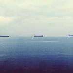 Hayley Zboncak Profile Picture