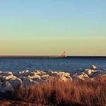 Norris Swift Profile Picture