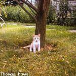 Theodora Abbott Profile Picture