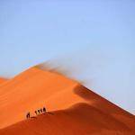 Tracy Nader Profile Picture