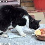 Braxton Predovic Profile Picture