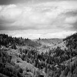 Danyka Gibson Profile Picture