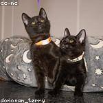 Frank Roberts Profile Picture