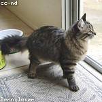 Tiara Mosciski Profile Picture