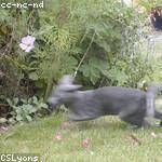 Donavon Champlin Profile Picture