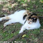 Ana Hane Profile Picture