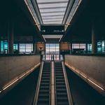 Reed Connelly Profile Picture