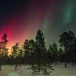 Roderick Funk Profile Picture