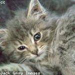 Blanca Williamson Profile Picture