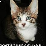 Arely Senger Profile Picture