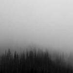 Eldora Stark Profile Picture