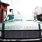 Bonnie Thiel Profile Picture