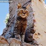 Miles Brakus Profile Picture