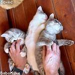 Ryder Reynolds Profile Picture