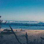 Susana Moore Profile Picture