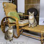 Hilario Casper Profile Picture