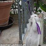 Oceane Luettgen Profile Picture