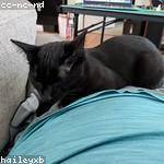 Eva Bogisich Profile Picture