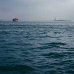 Emelia Zboncak Profile Picture