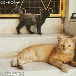 Delbert Russel Profile Picture