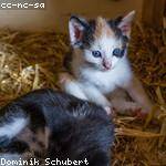 Alec Lemke Profile Picture