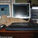 Drake Halvorson Profile Picture