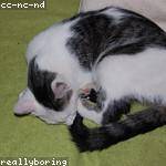 Kaitlyn Bins Profile Picture