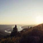 Vern Rice Profile Picture