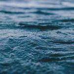 Sabrina Fritsch Profile Picture