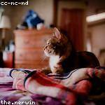 Anita West Profile Picture