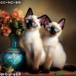 Eve Walsh Profile Picture