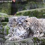 Marilou Hyatt Profile Picture